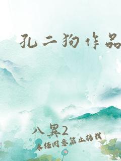 孔二狗作品