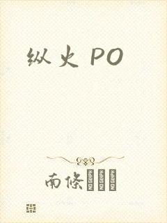 纵火 PO