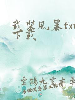 武装风暴txt下载
