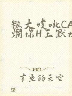 粗大噗呲CAO烂你H王默水王子