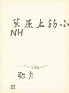 草原上的小公主NH