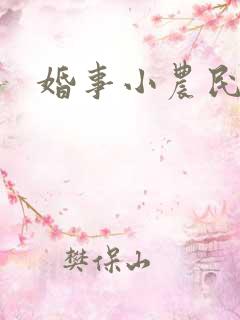 婚事小农民