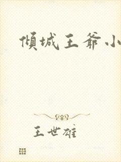 倾城王爷小小妃