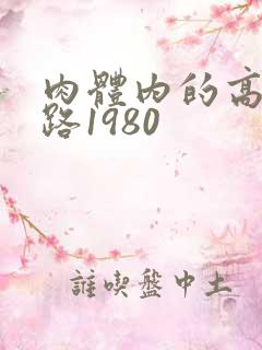 肉体内的高速公路1980