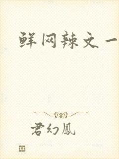 鲜网辣文一对一