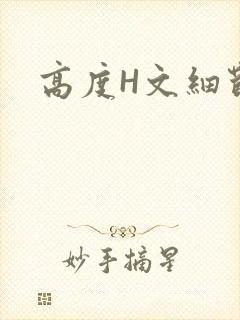 高度H文细节