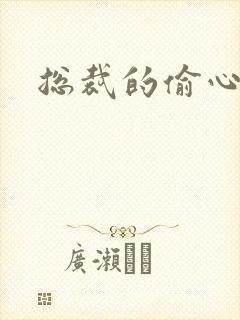 总裁的偷心娇妻