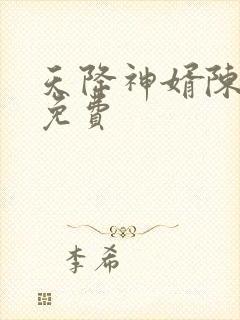 天降神婿陈黄皮免费