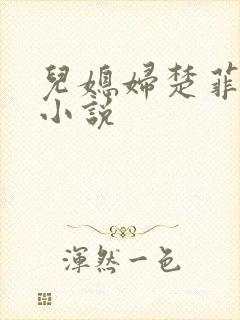 儿媳妇楚菲菲的小说