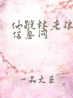 仙踪林老狼贰佰信息网