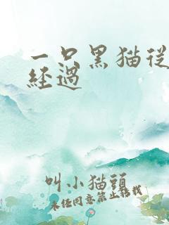 一只黑猫从眼前经过