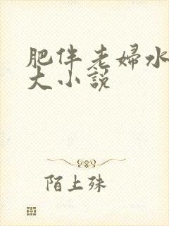肥伴老妇水多乳大小说