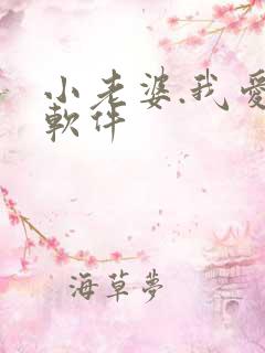 小老婆.我爱你软件