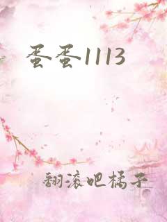 蛋蛋1113
