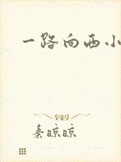 一路向西小说