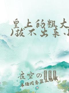 皇上的粗大(h)拔不出来小说