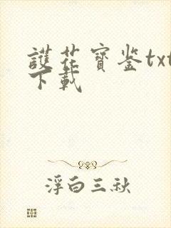 护花宝鉴txt下载