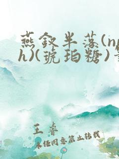 燕钗半落(nph)(琥珀糖)笔趣