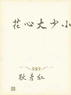 花心大少小说