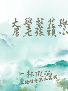 大学系花与锅炉房老张头小说