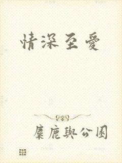 情深至爱