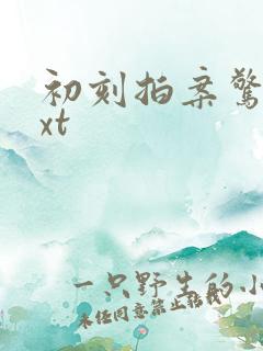 初刻拍案惊奇txt