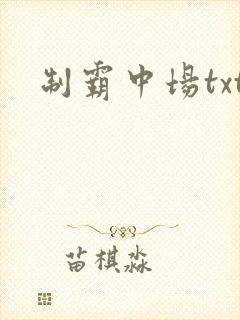 制霸中场txt