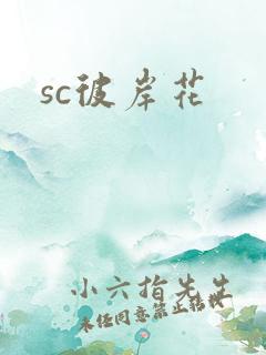 sc彼岸花