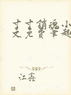 寸寸销魂小说全文免费笔趣阁