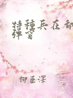 特种兵在都市无弹窗