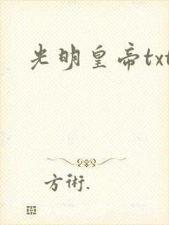 光明皇帝txt