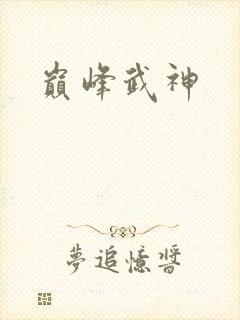 巅峰武神