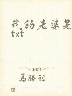 我的老婆是上司txt