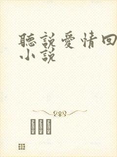 听说爱情回来过小说