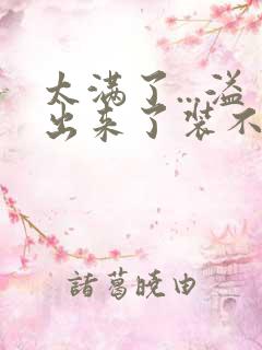 太满了...溢出来了装不下了