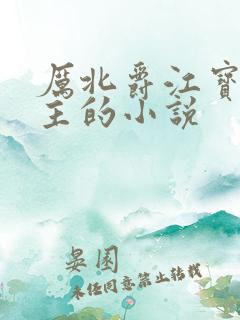 厉北爵江宝宝男主的小说