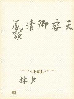 凤清卿容天凌小说