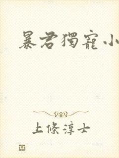 暴君独宠小俏后