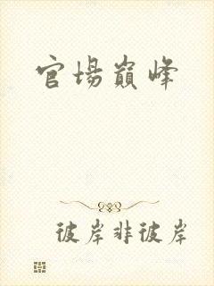 官场巅峰