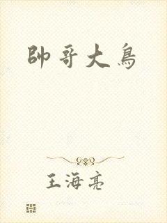 帅哥大鸟