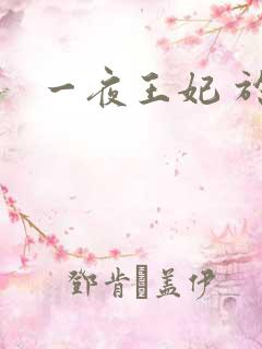 一夜王妃 于墨