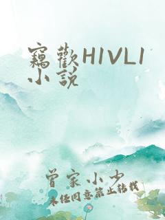 窃欢H1VL1小说