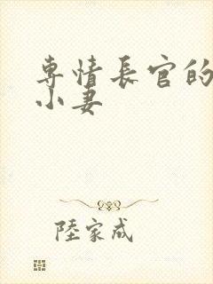 专情长官的天价小妻