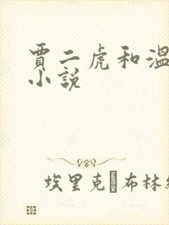 贾二虎和温如意小说