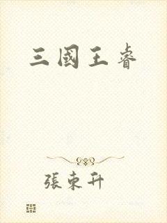 三国王睿