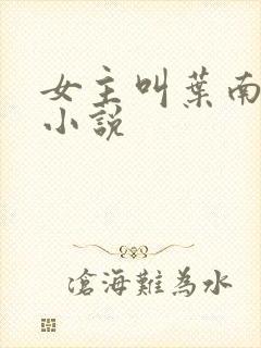 女主叫叶南初的小说
