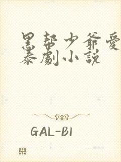 黑帮少爷爱上我泰剧小说