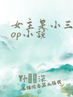 女主是小三的pop小说