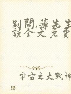 别闹,薄先生小说全文免费阅读