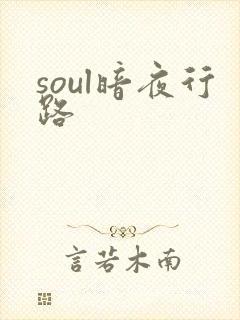 soul暗夜行路